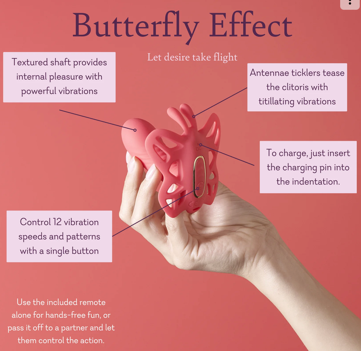 Butterfly Effect